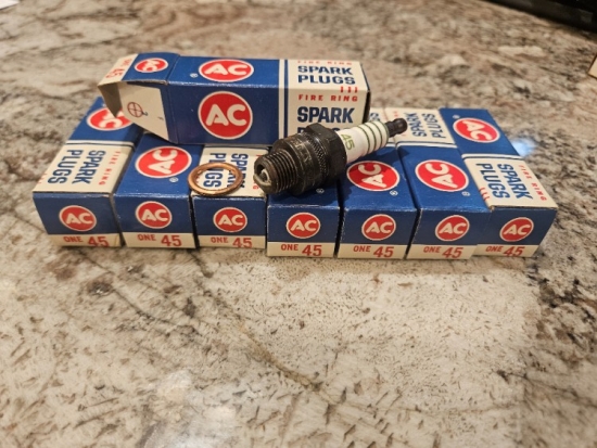 Sparkplug4.jpg